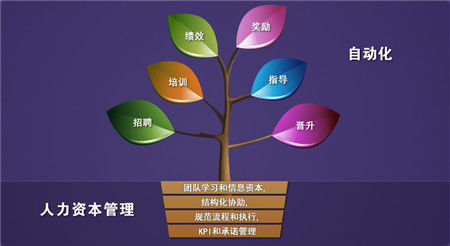 人力資源管理師報名