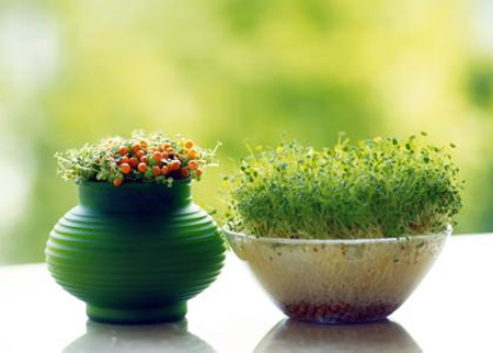 健康管理師培訓