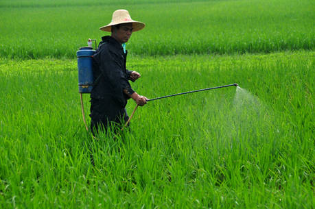 公共營養(yǎng)師 公共營養(yǎng)師