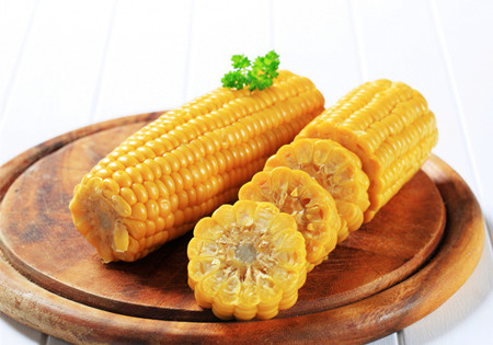 公共營養(yǎng)師 公共營養(yǎng)師