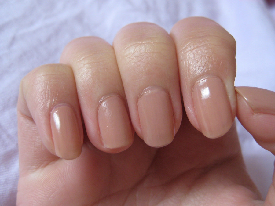 公共營養(yǎng)師