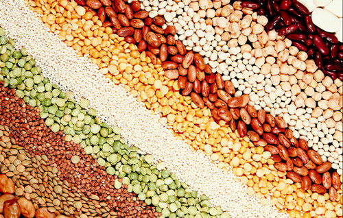 公共營養師 公共營養師