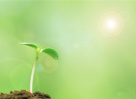 心理咨詢師 心理咨詢師