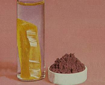 公共營養師 公共營養師