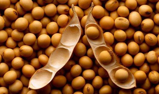 公共營養師 公共營養師