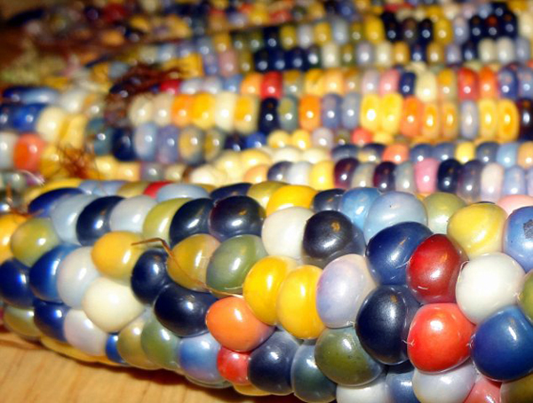 公共營養師 公共營養師