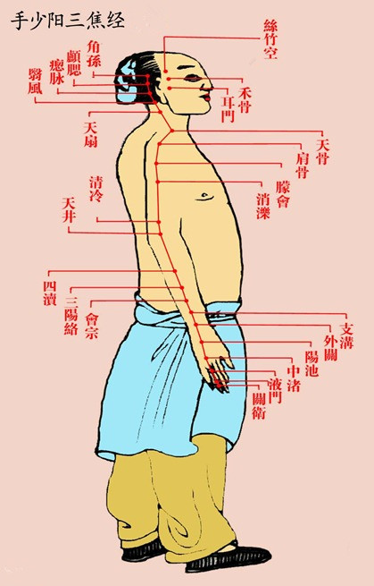 手少陽三焦經